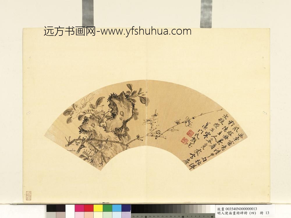 明人便面画册（四）册明胡德位茶梅写生