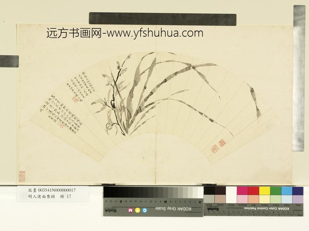 明人便面集锦册-明刘原起兰花