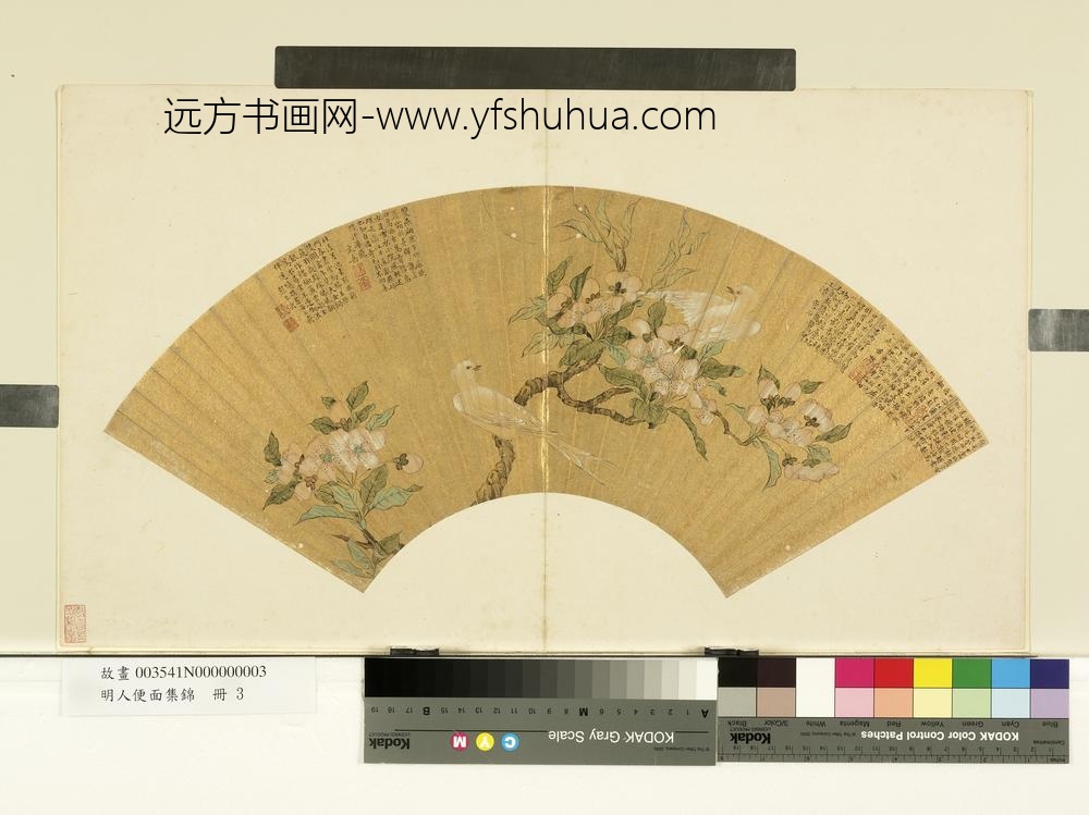 明人便面集锦册-明无款梨花白燕