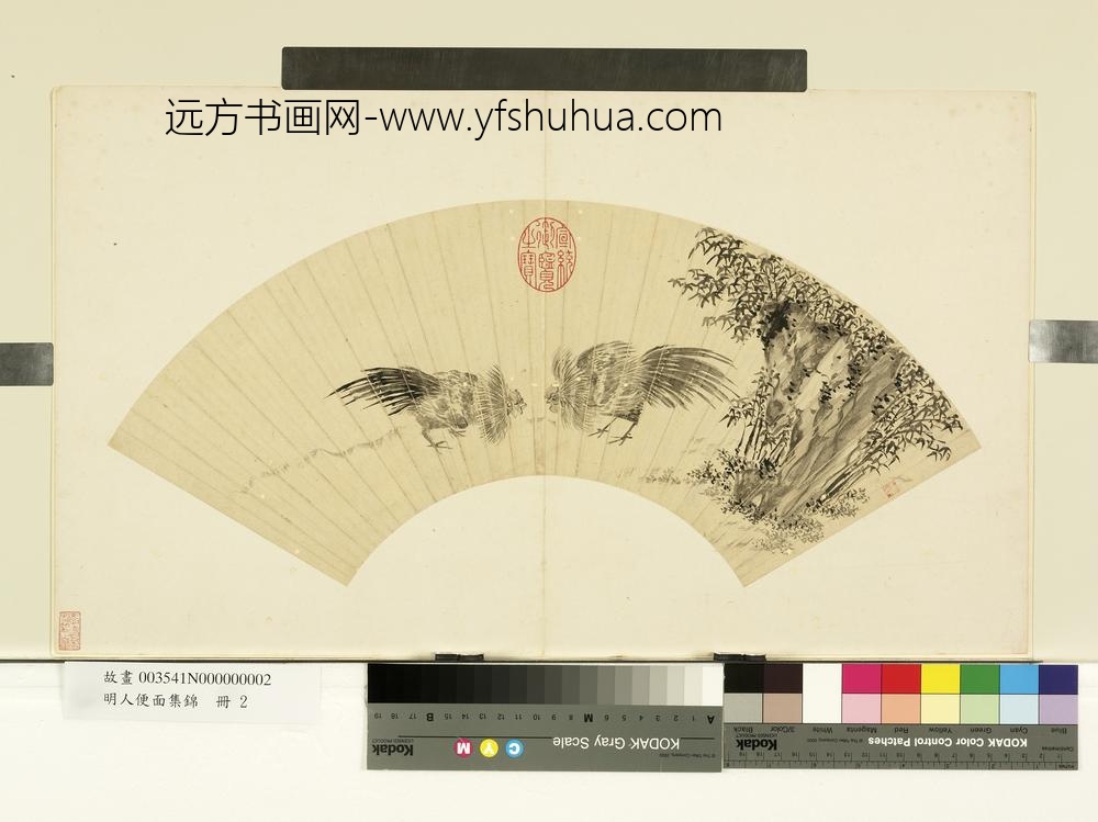 明人便面集锦册-明朱朗斗鸡