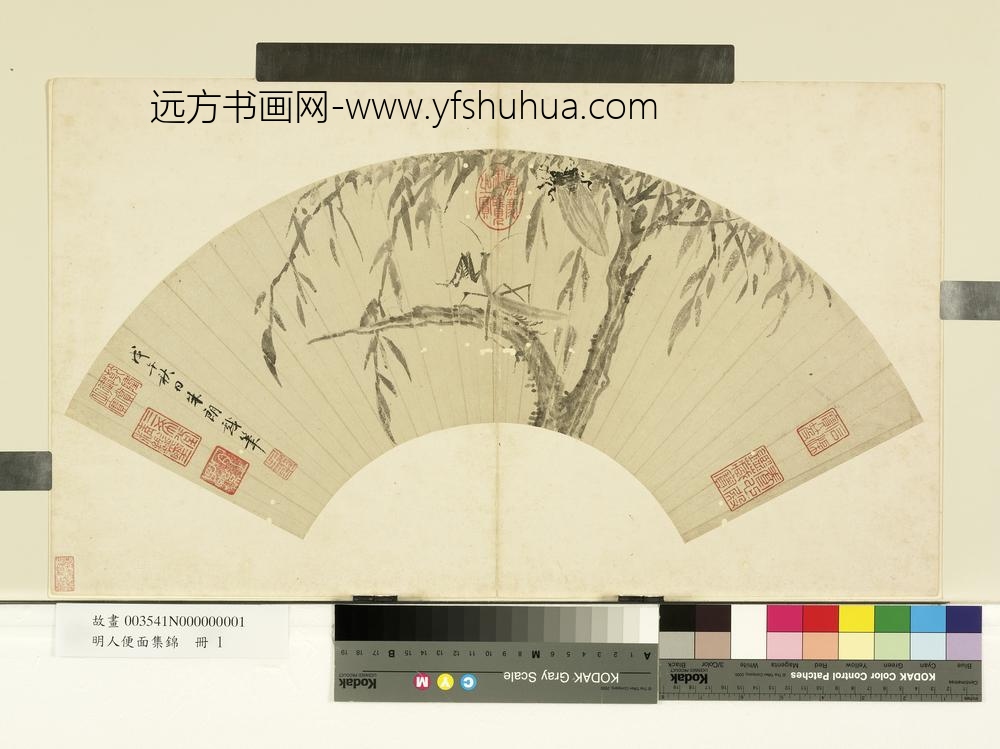 明人便面集锦册-明朱朗秋柳鸣蝉