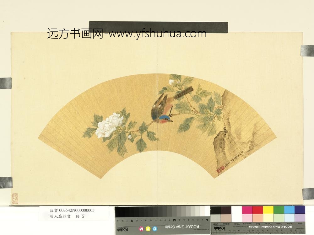 明人扇头画册-明王谟着色花鸟