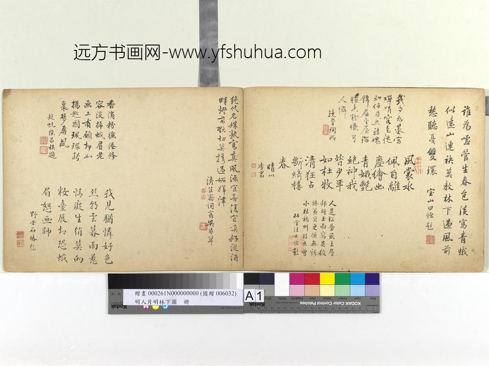 明人月明林下图册-