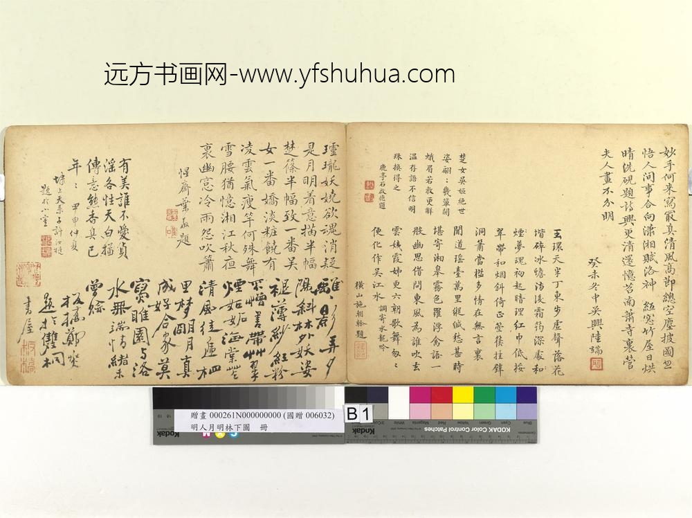 明人月明林下图册-