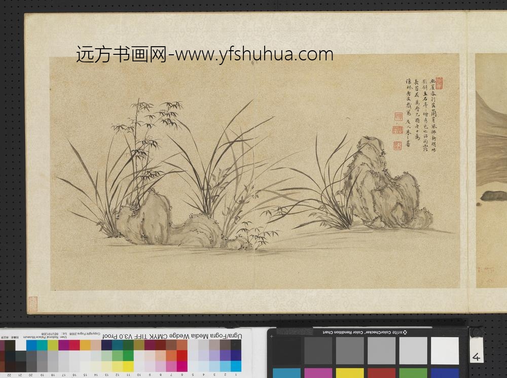 明人画幅集册-兰花竹石