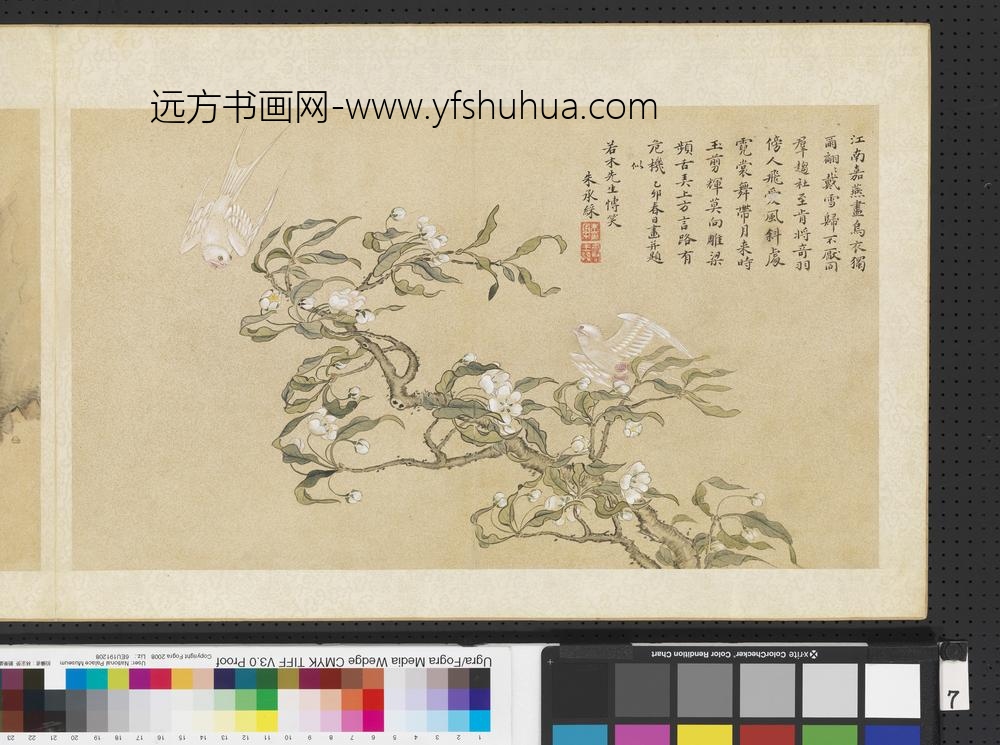 明人画幅集册-梨花白燕