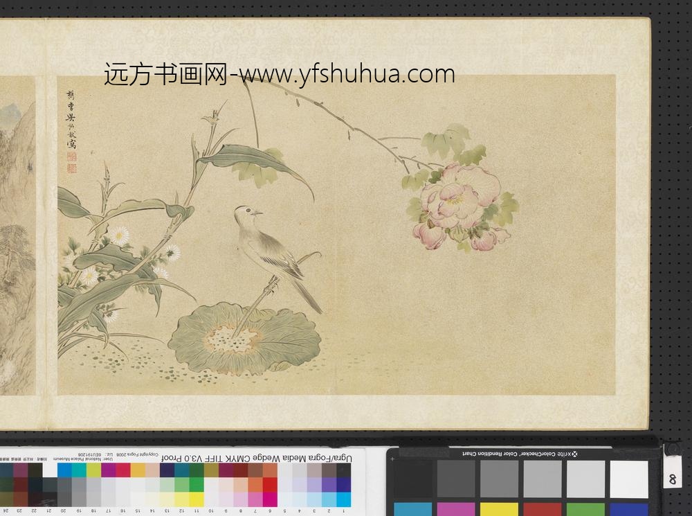 明人画幅集册-芦菊芙蓉