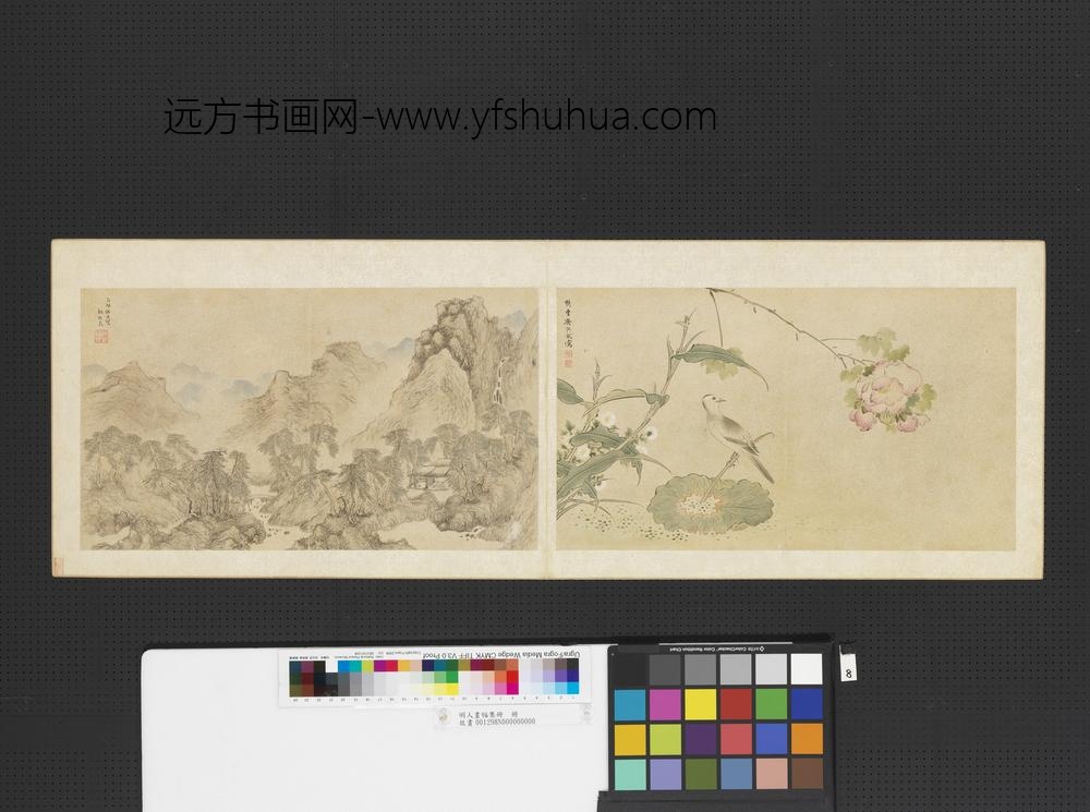 明人画幅集册册-明吴弘猷芦菊芙蓉