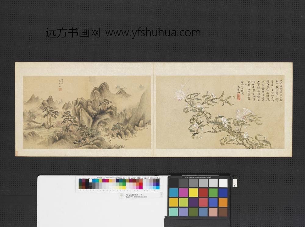 明人画幅集册册-明朱承彩梨花白燕