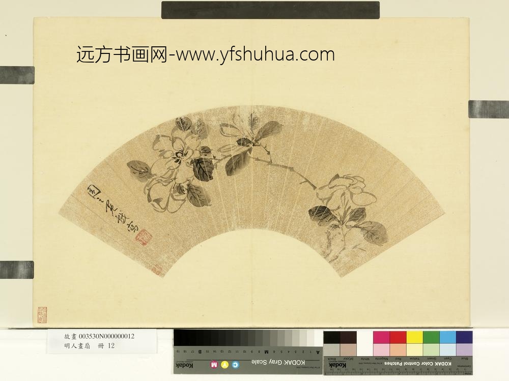 明人画扇册-明周之冕栀子花