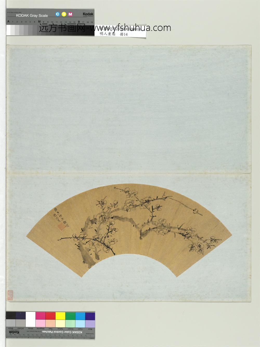 明人画扇册-明周之冕梅花