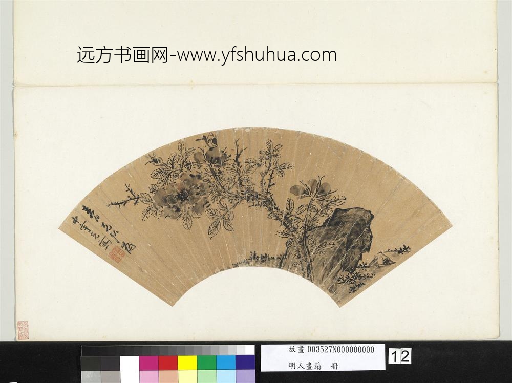 明人画扇册-明孙克弘蔷薇