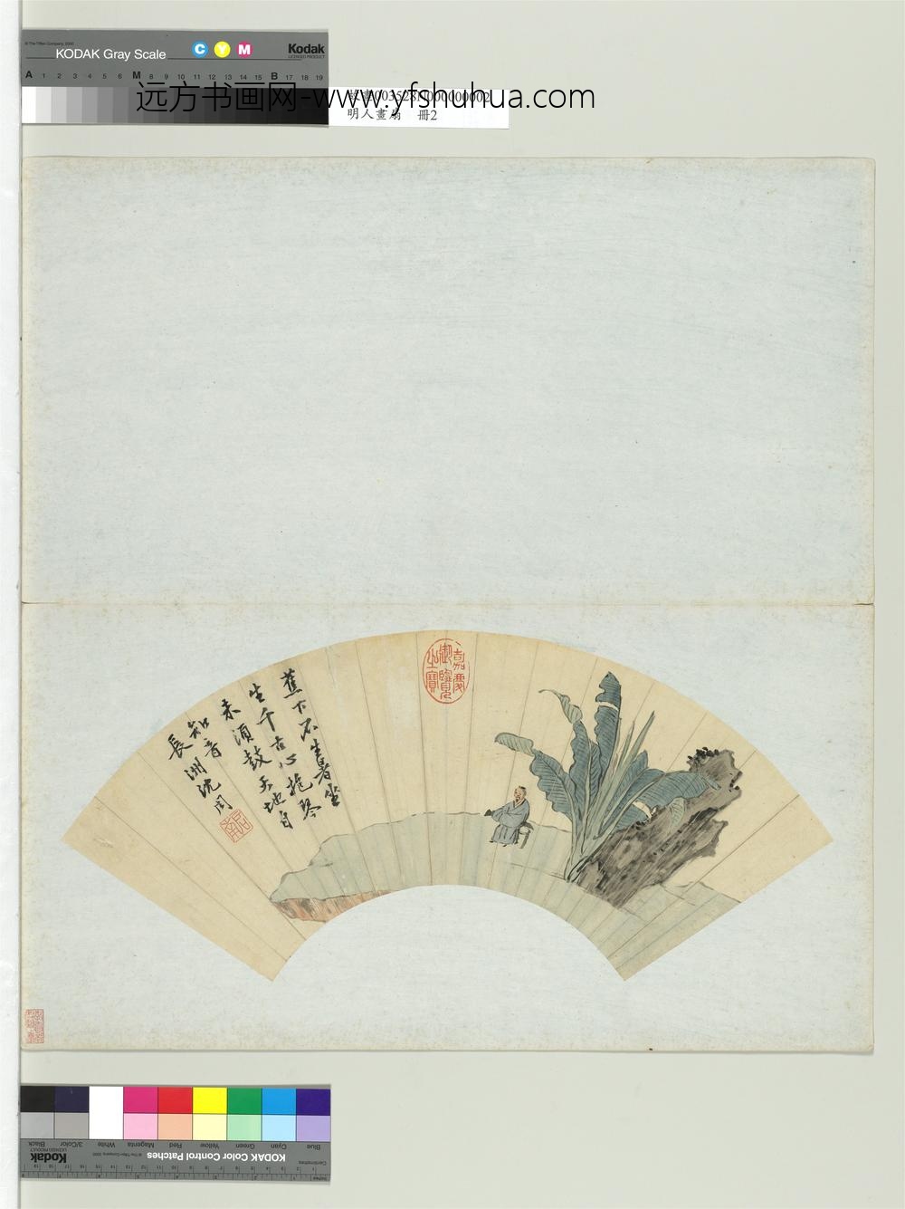 明人画扇册-明沈周蕉阴横琴