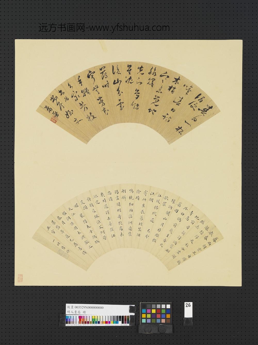 明人画扇册-明萧晋草书