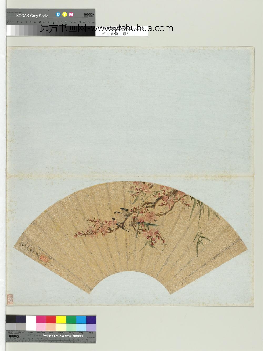 明人画扇册-明陆治杏花春燕