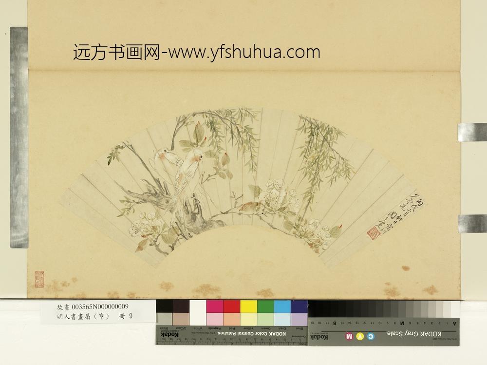 明人画扇（亨）册明周之冕杨枝小鸟