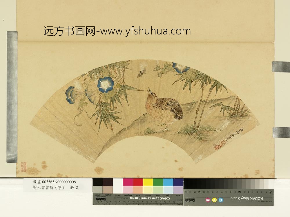 明人画扇（亨）册明周之冕竹鸟牵牛