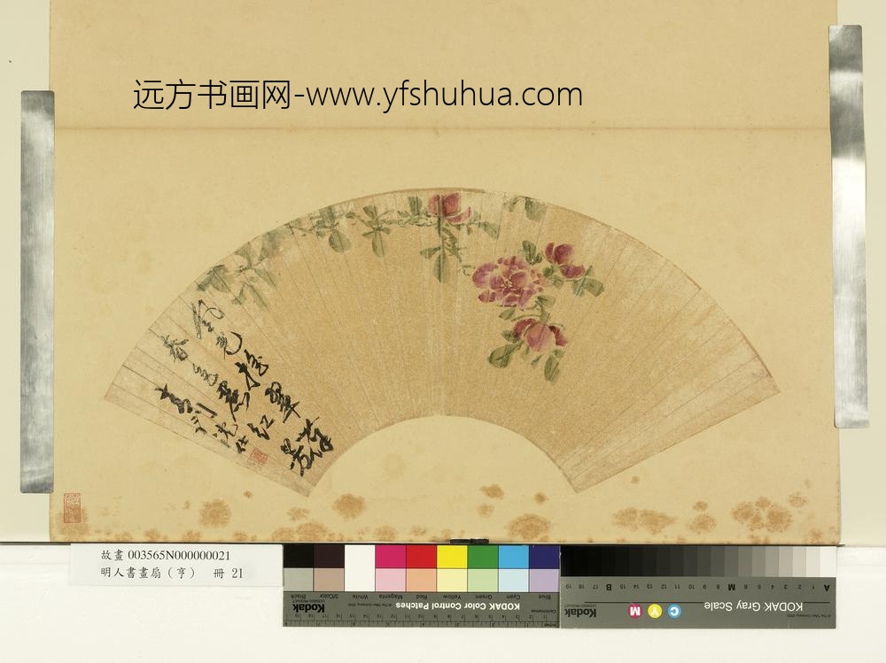 明人画扇（亨）册明沈仕春色红芳