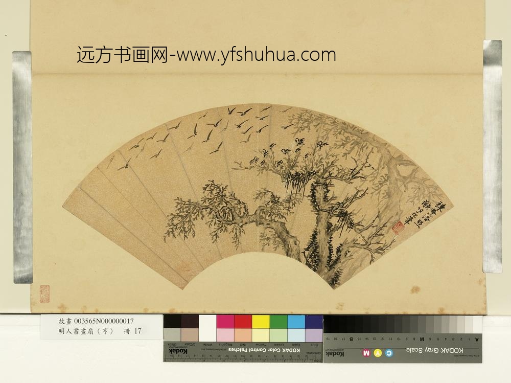 明人画扇（亨）册明谢时臣踈林落照