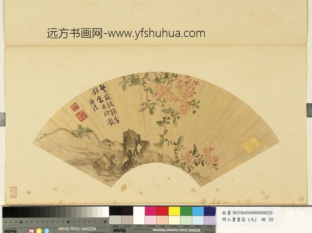 明人画扇（元）册明陈淳紫薇