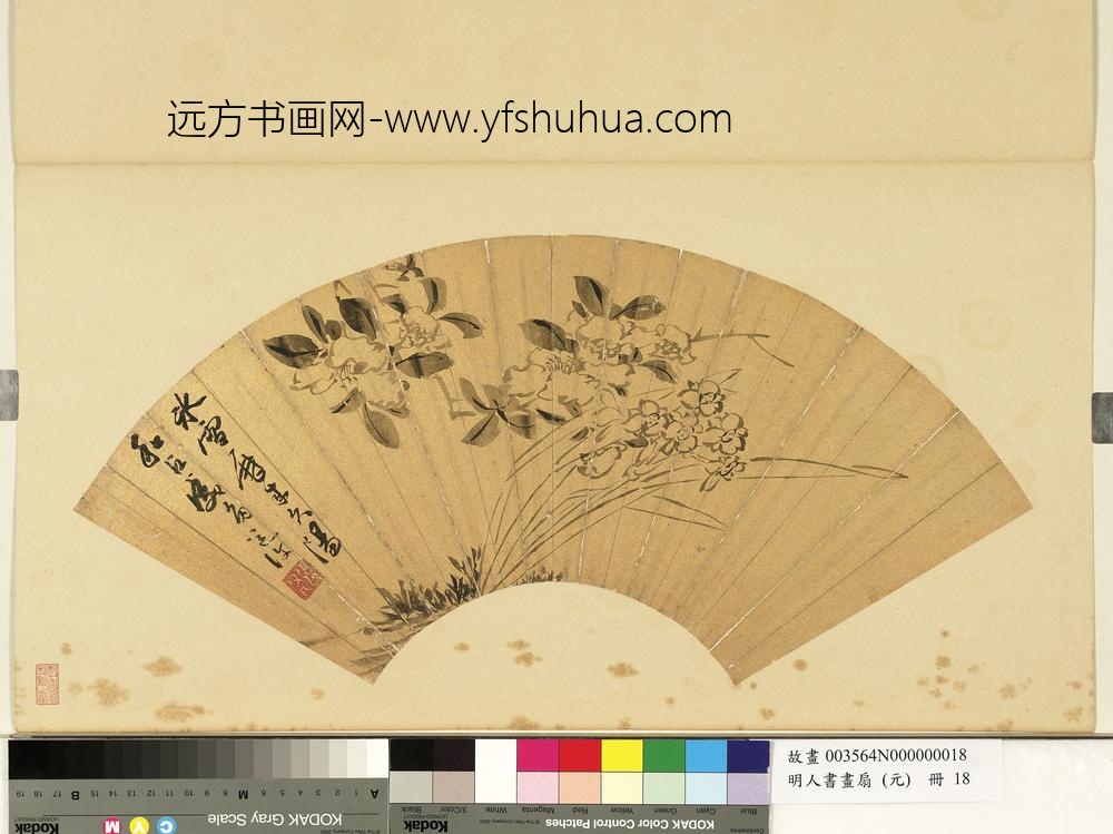 明人画扇（元）册明陈淳花卉