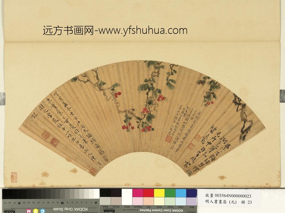 明人画扇（元）册明陈淳雪里红