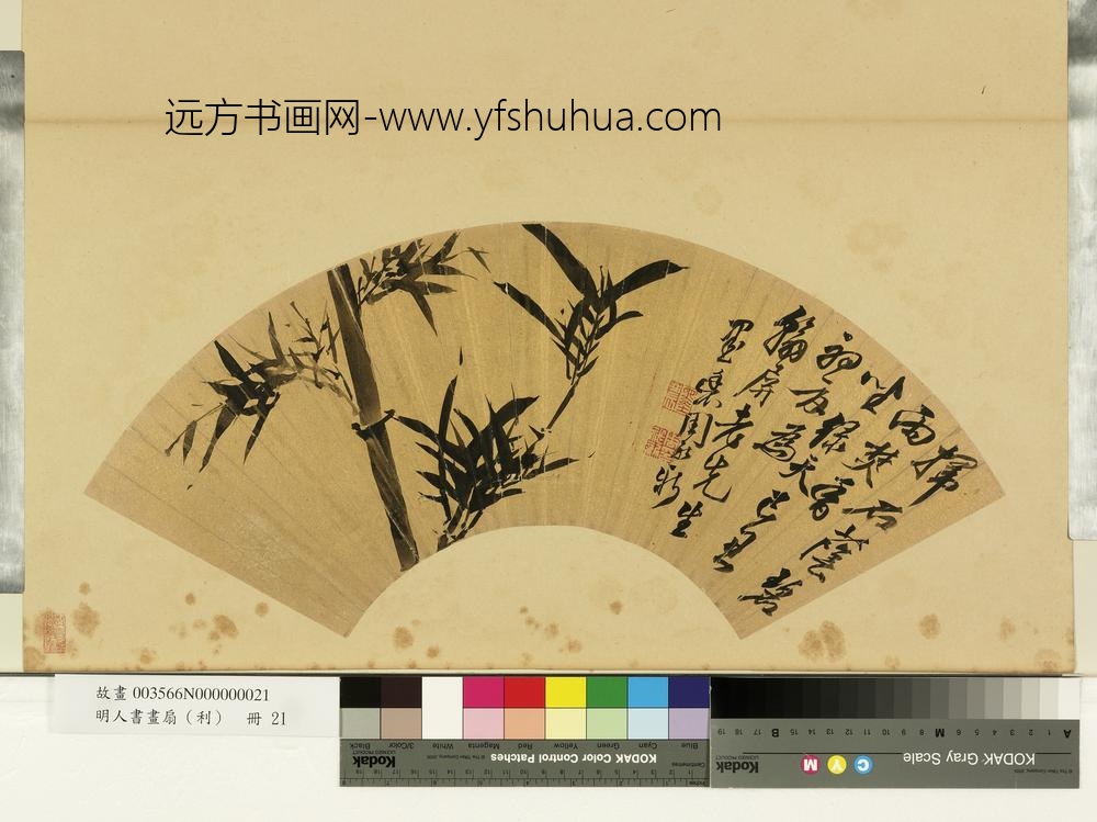 明人画扇（利）册明周祚新画竹