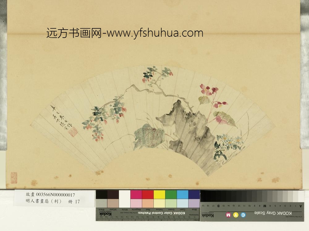 明人画扇（利）册明张寅秋海棠枸杞子