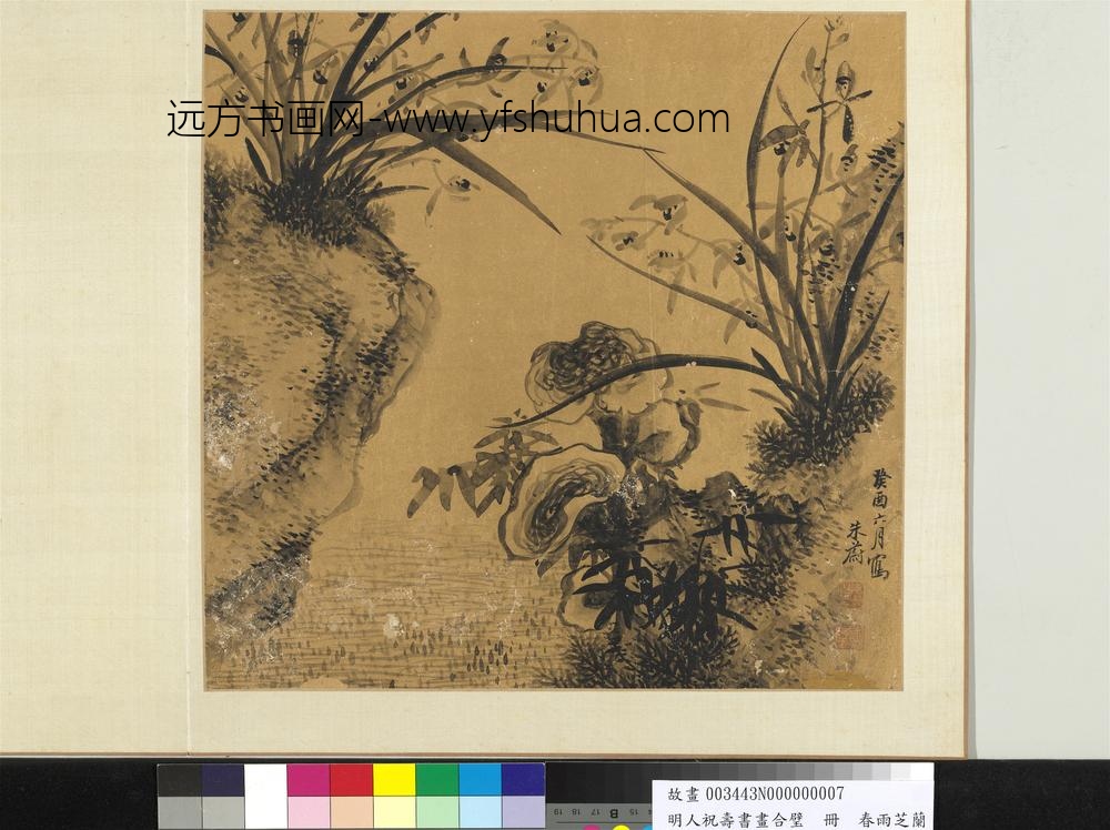 明人祝寿书画合璧册-春雨芝兰