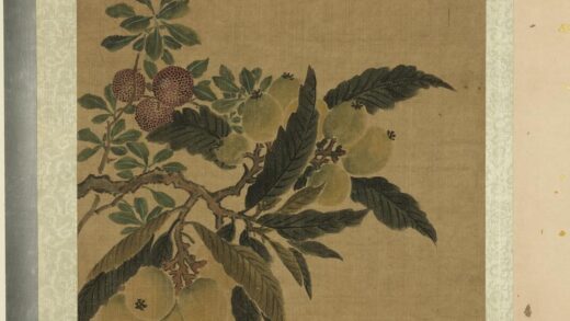 明人花果册册 明人枇杷.jpg