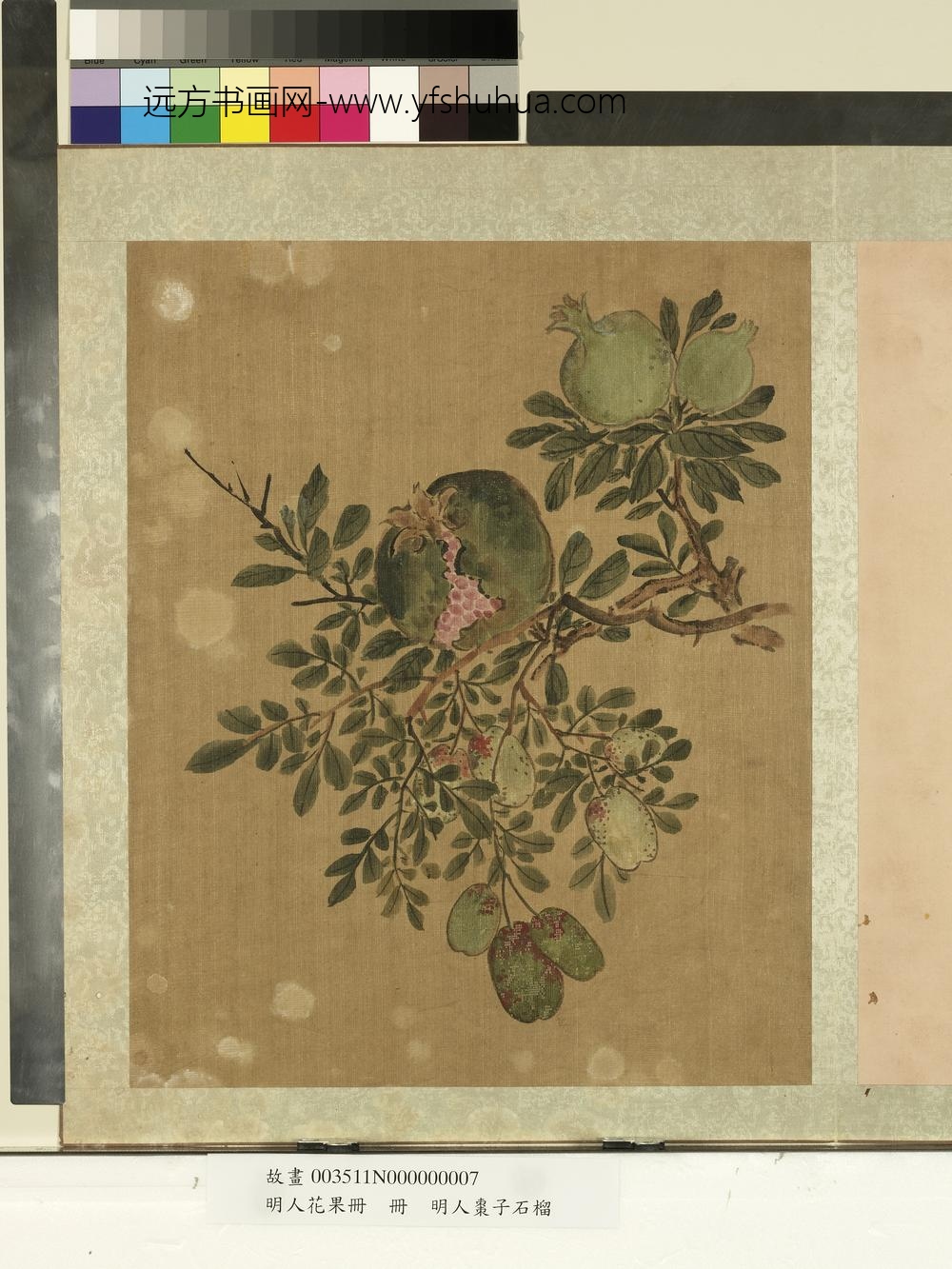 明人花果册册-明人枣子石榴