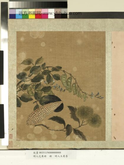 明人花果册册 明人玉蜀黍.jpg