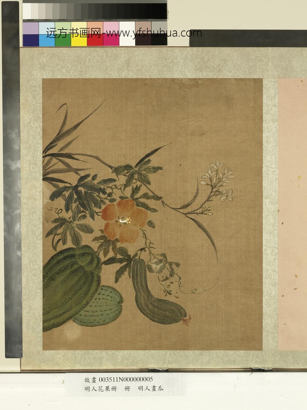 明人花果册册-明人画瓜