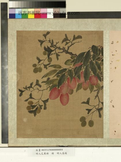 明人花果册册 明人荔枝.jpg