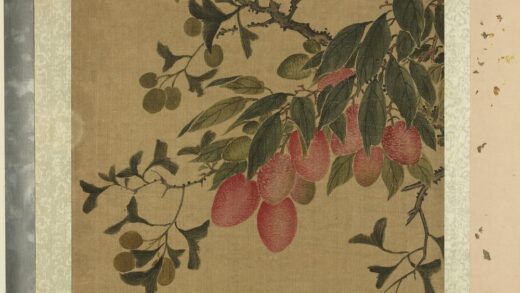 明人花果册册 明人荔枝.jpg