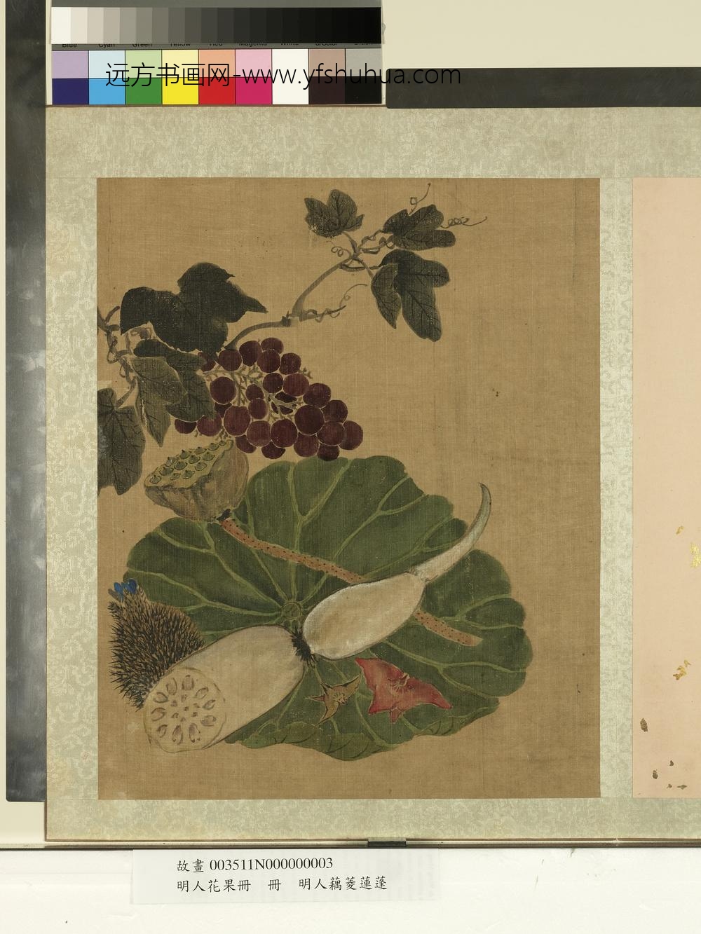 明人花果册册-明人藕菱莲蓬