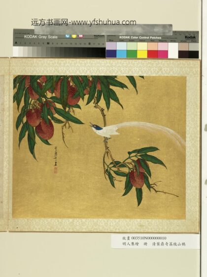 明人集绘册 清叶鼎奇荔枝山鹊.jpg