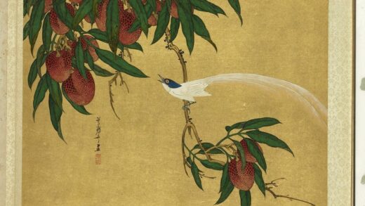 明人集绘册 清叶鼎奇荔枝山鹊.jpg