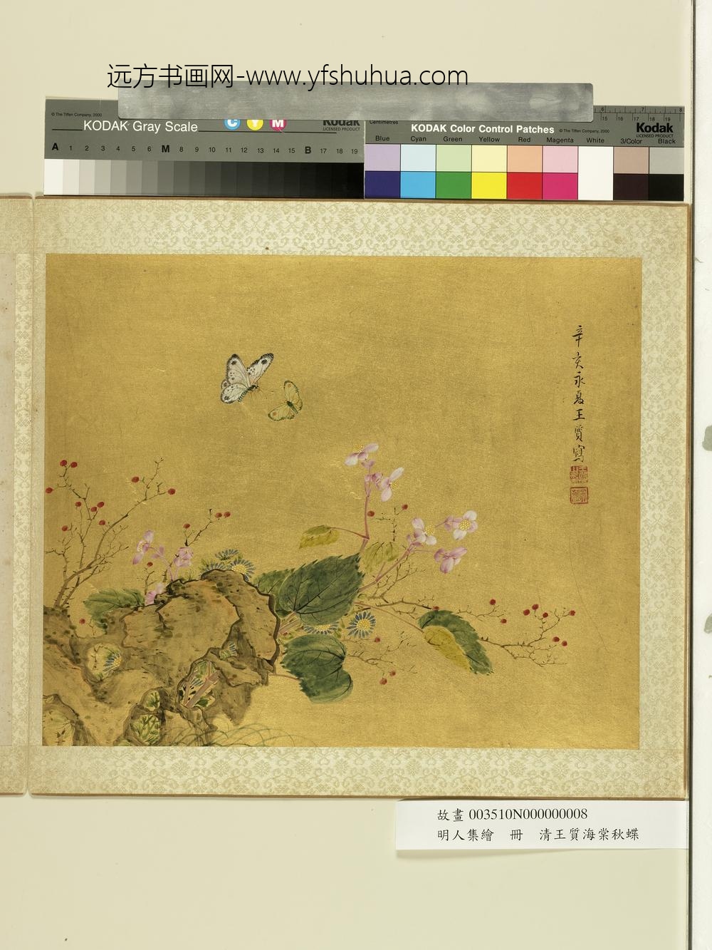 明人集绘册-清王质海棠秋蝶