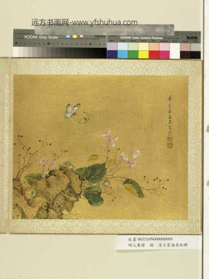 明人集绘册 清王质海棠秋蝶.jpg