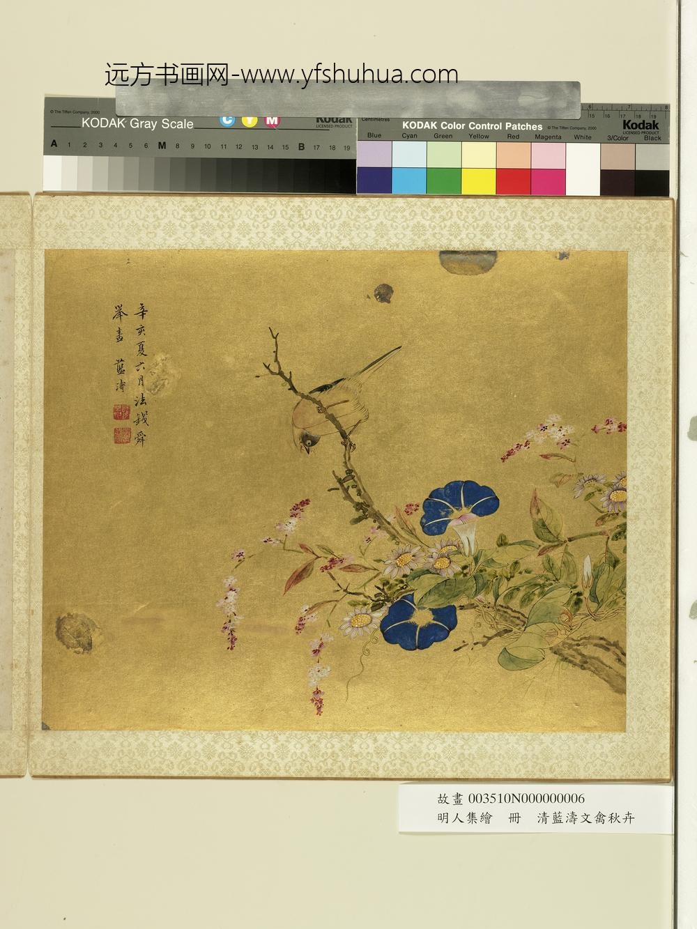 明人集绘册-清蓝涛文禽秋卉