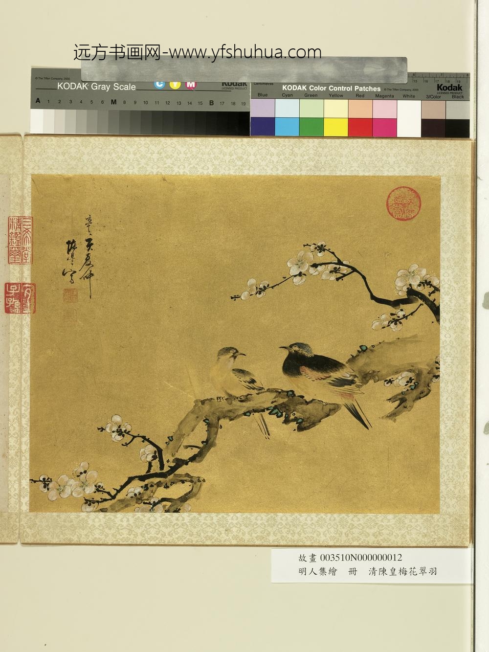 明人集绘册-清陈皇梅花翠羽