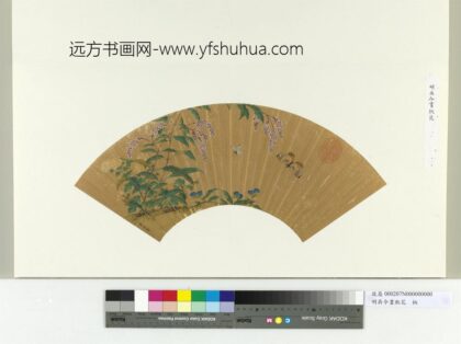明吴令画秋花册页.jpg