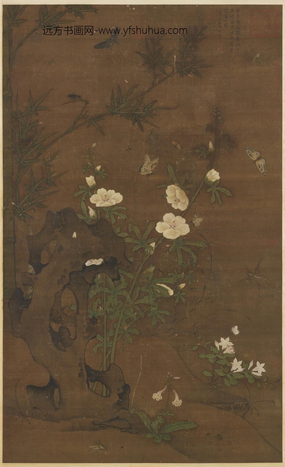 明商祚秋葵图轴