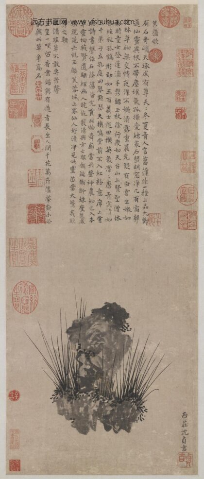 明沈贞吉画菖蒲轴.jpg