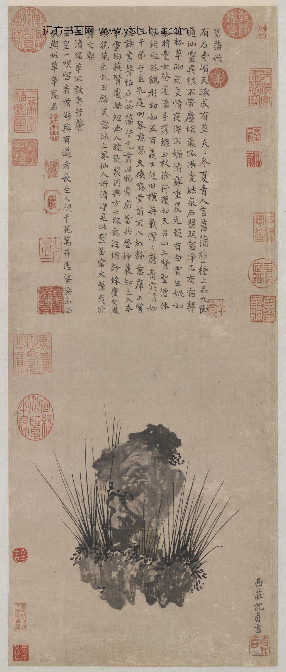 明沈贞吉画菖蒲轴