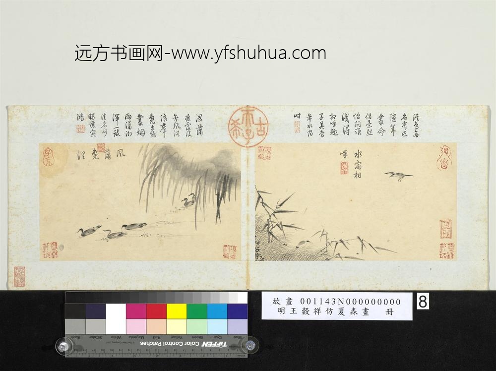 明王谷祥仿夏森画册-水宿相呼