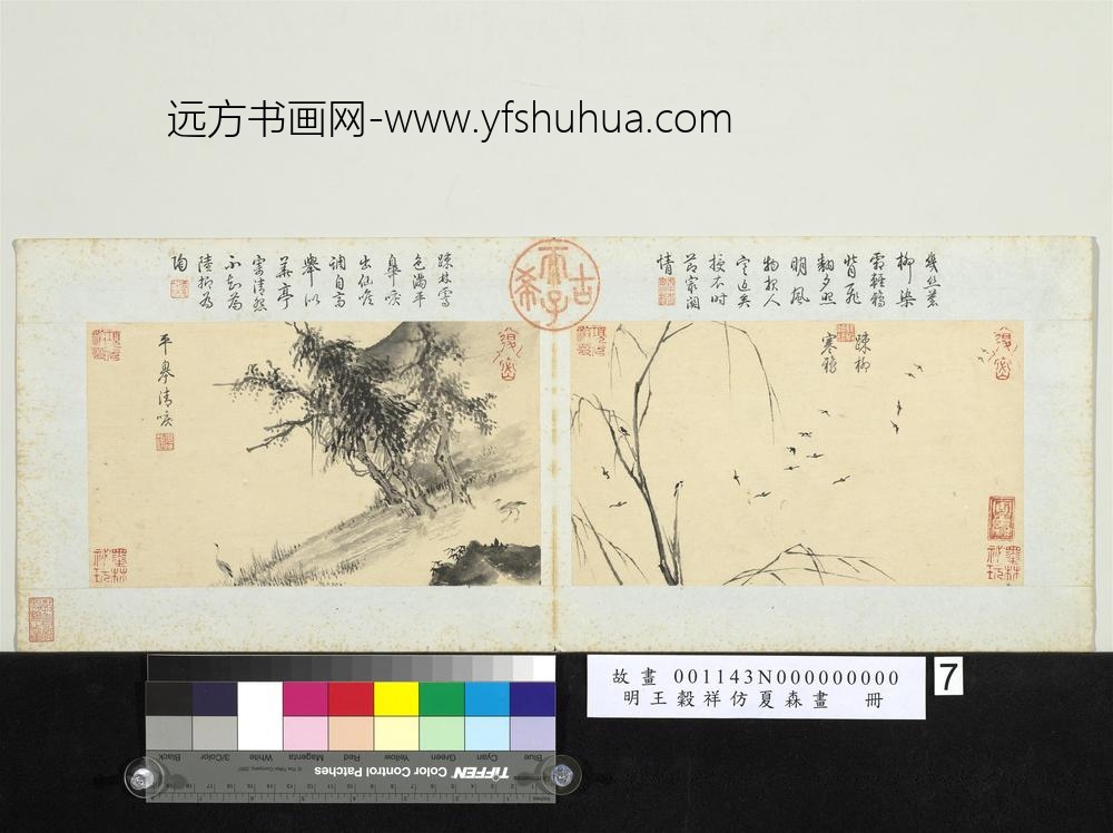 明王谷祥仿夏森画册-踈柳寒鸦