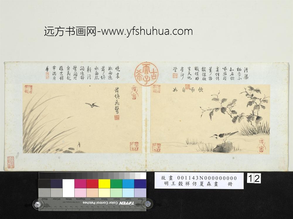 明王谷祥仿夏森画册-饮啄自如