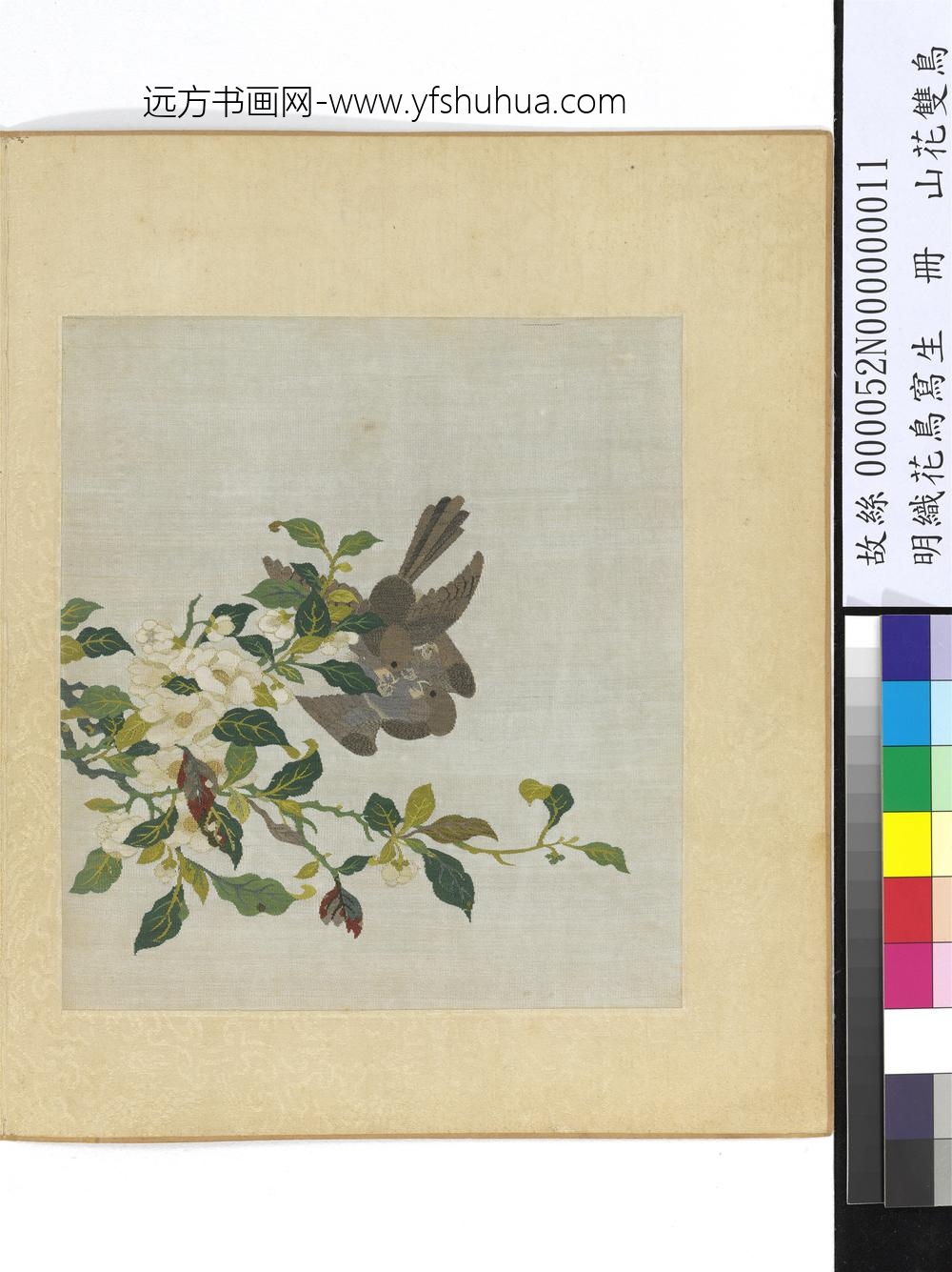 明织花鸟写生册-山花双鸟